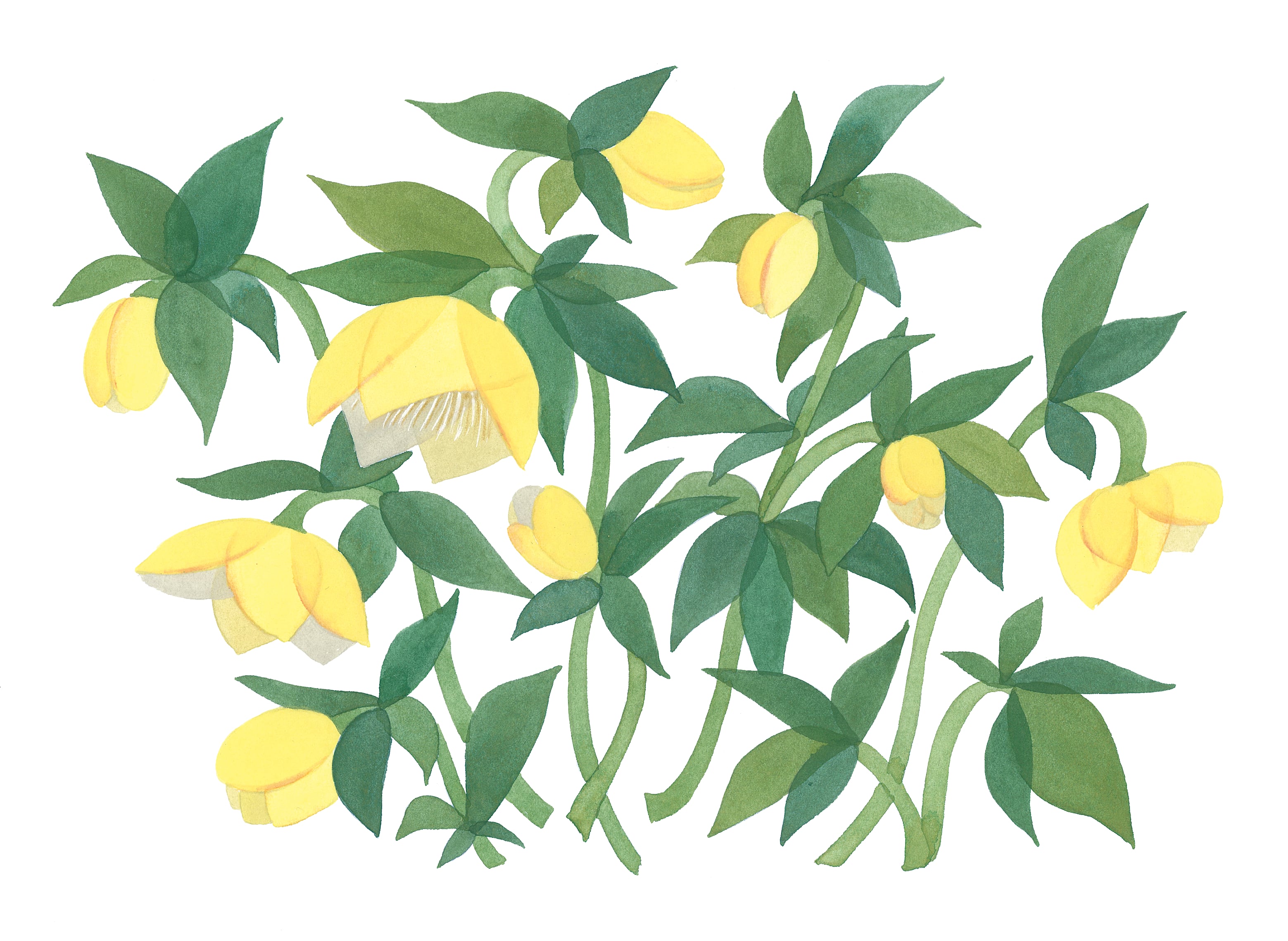 額装作品『flowers』02