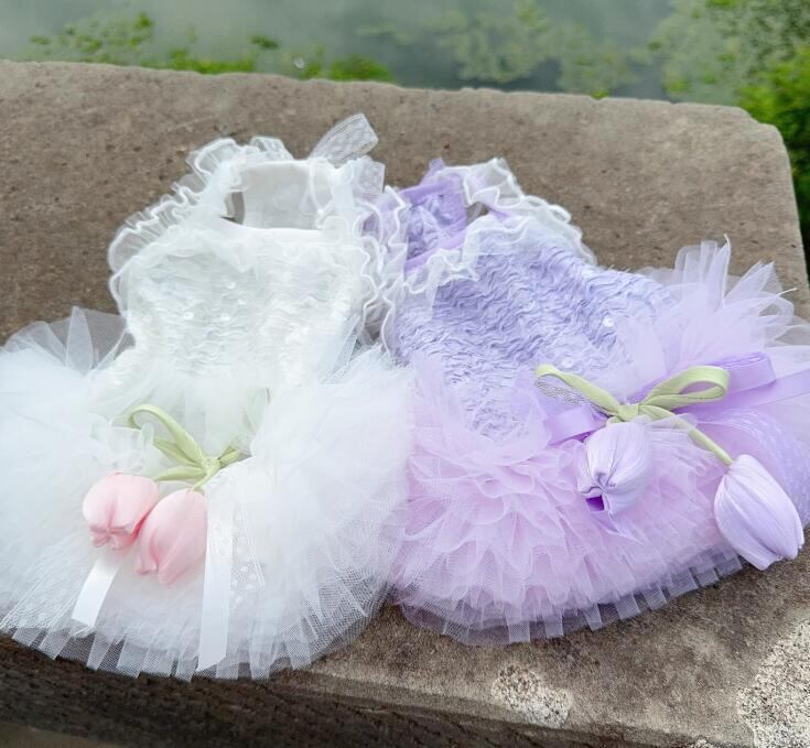 おすすめ☞《予約》№3102128 フラワーリボンチュチュドレス