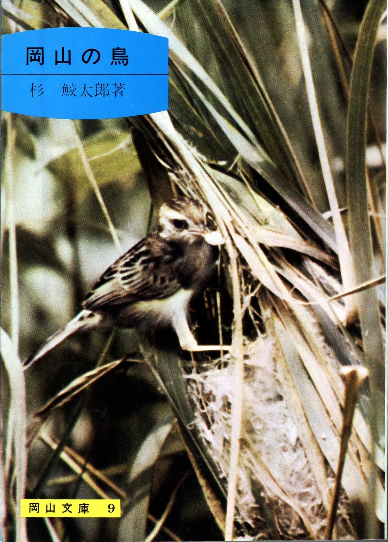 9.岡山の鳥 | 岡山文庫