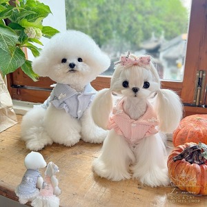 予約【№B06383】K&Z　襟付き　クラシカル　ニットワンピース（2カラー）