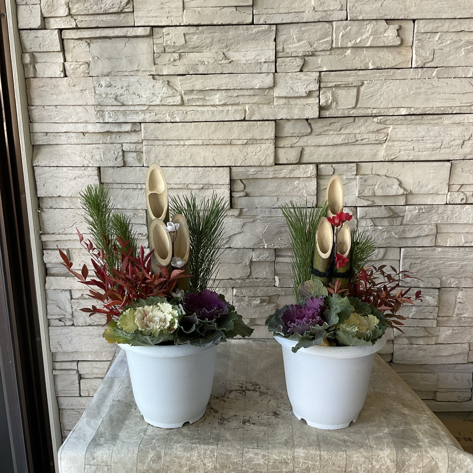 LAURA ASHLEY ローラ ロンサール L 選べる♪2色 | 橋本種苗園