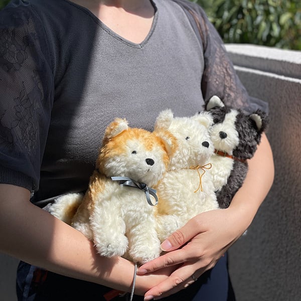 秋田犬わんこ 白毛 | もふいぬ