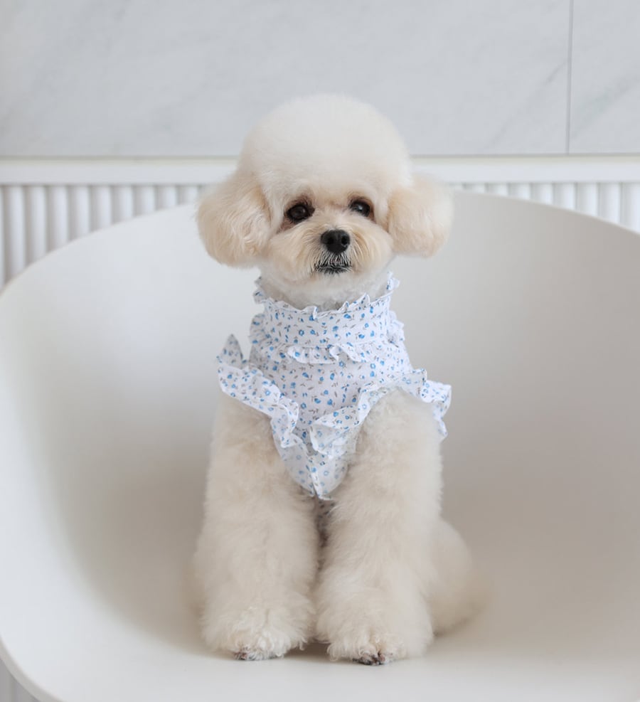 luv flower frill blouses S ~ XL 2color / ドッグウェア 犬服 フリル袖 ブラウス 袖なし 可愛い 犬の服 春夏 新作 花柄 シャツ おしゃれ top160