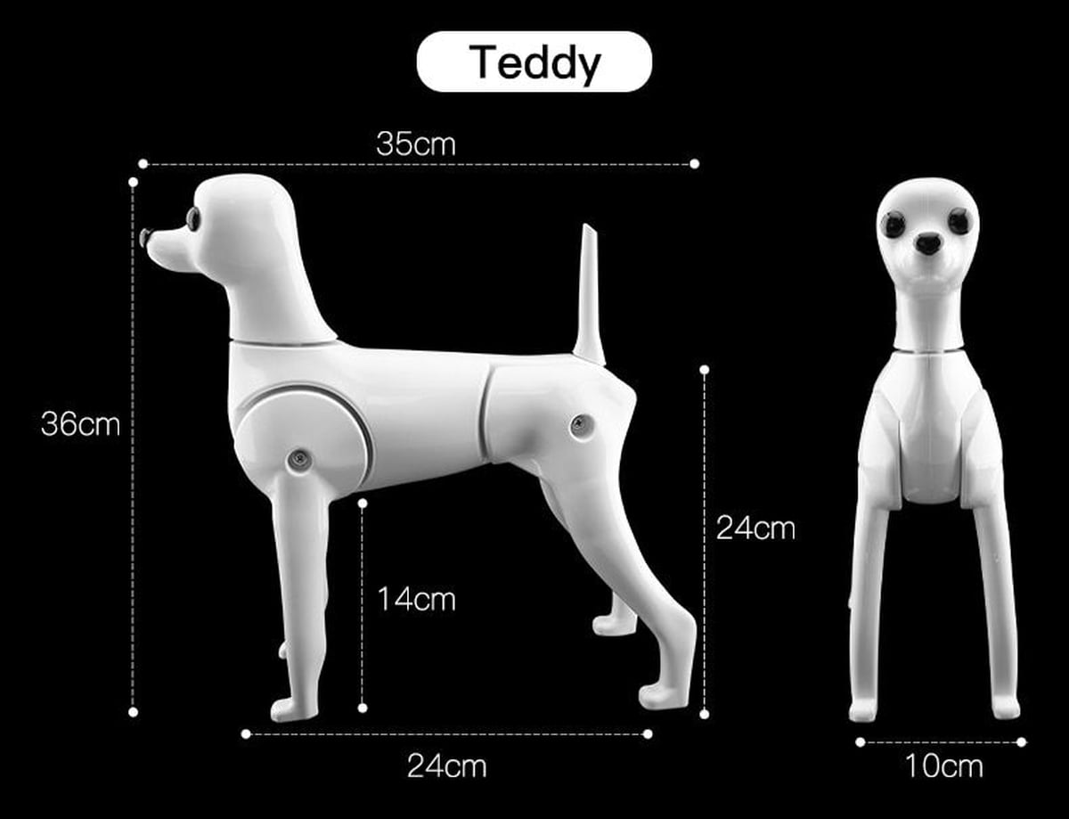 モデルドッグ ヘアー付き プードル テディー ビション 犬 カット