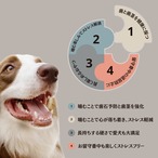 maskota 無添加 国産 豚レバー ジャーキー（栄養豊富）ペットおやつ 200g