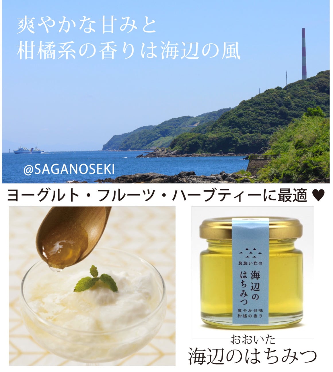 海辺のはちみつ (300g) | HoneyBeeBranch