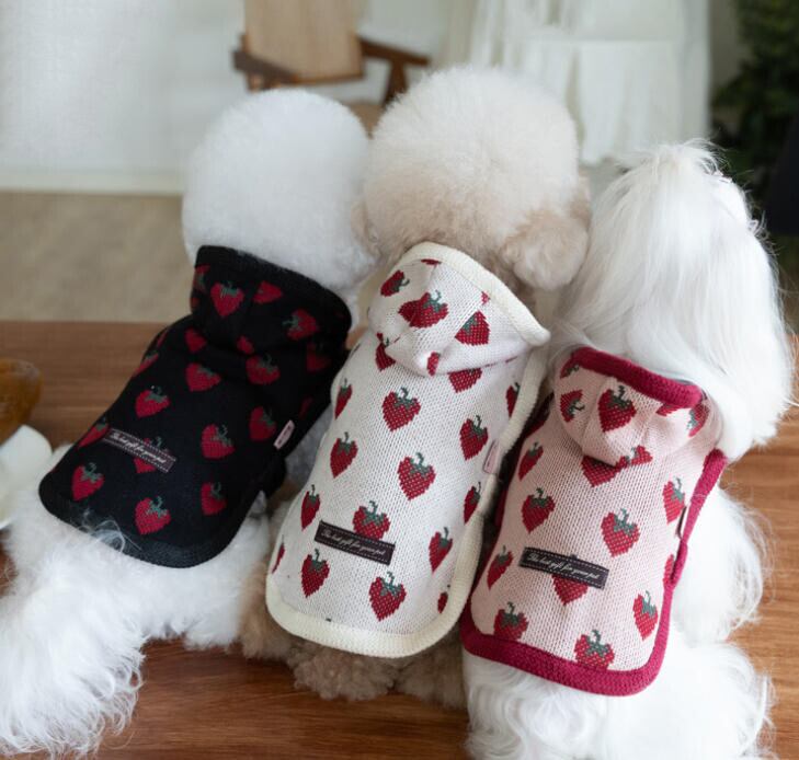 〖予約〗1103292 イチゴポンチョ