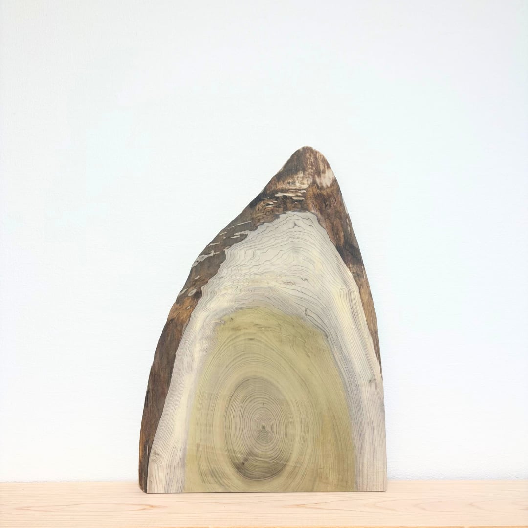 No.1074　ホオノキ