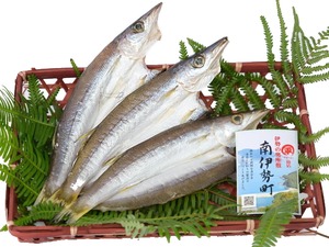 カマス（塩味）