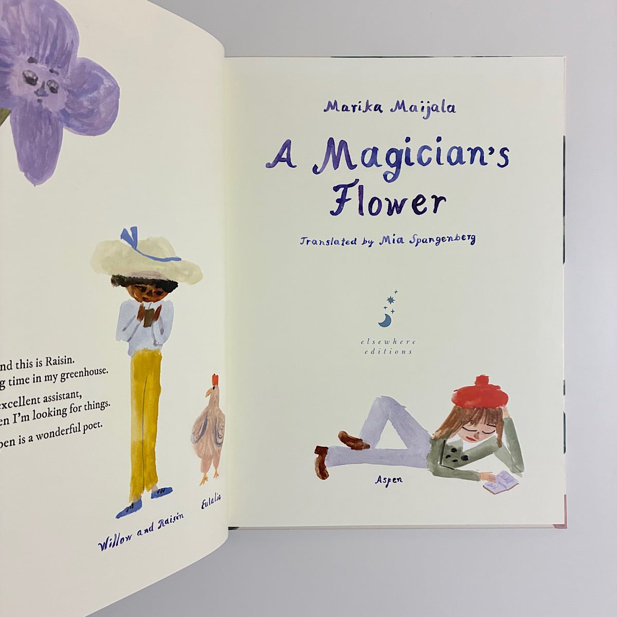 A Magician's Flower | 素敵な洋書絵本のお店 Read Leaf Books
