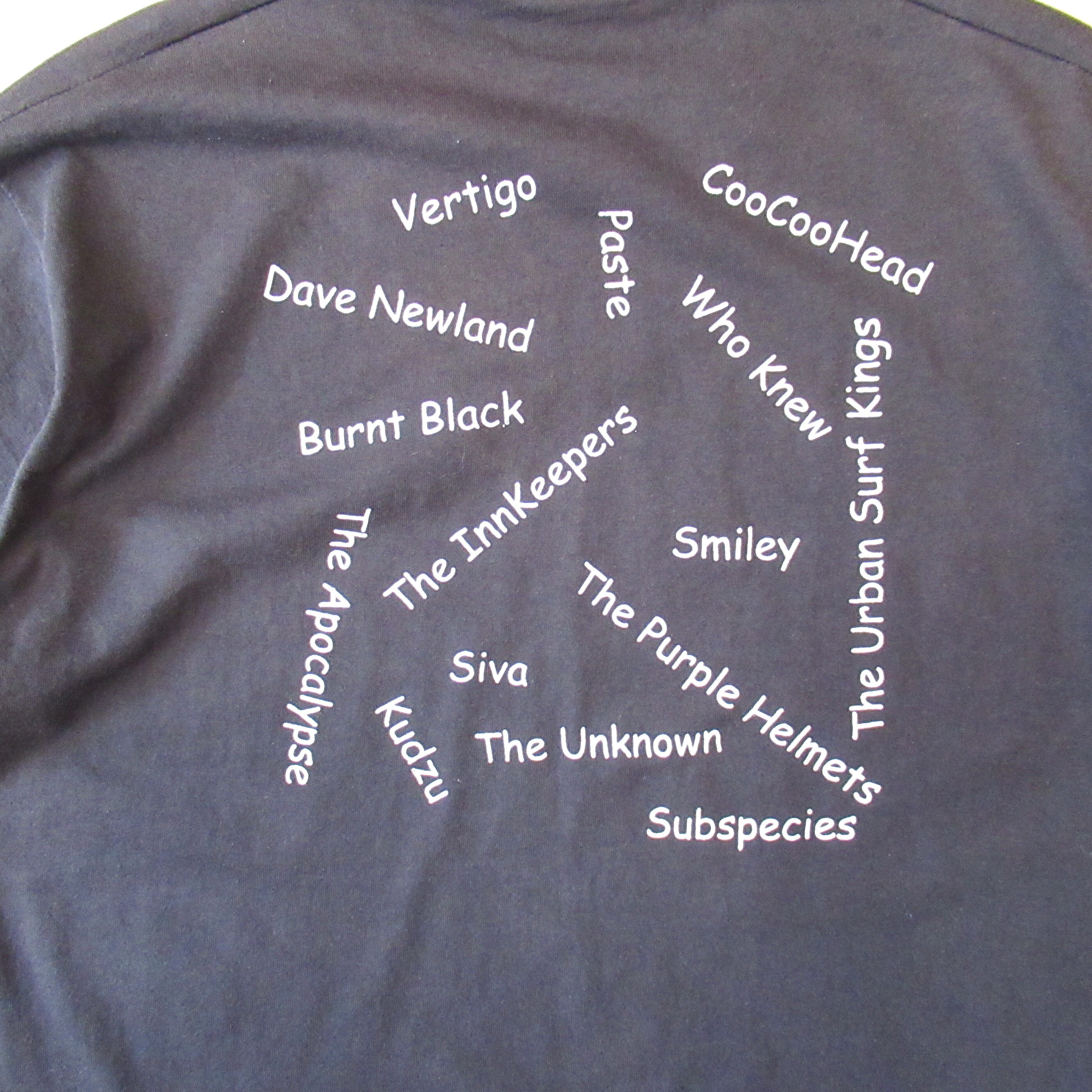 90S BEST ValleypaloozaⅡ T-shirt【L】 | drop by