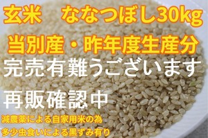 当別の農家さんの自家用米　ななつぼし30kg（要精米）