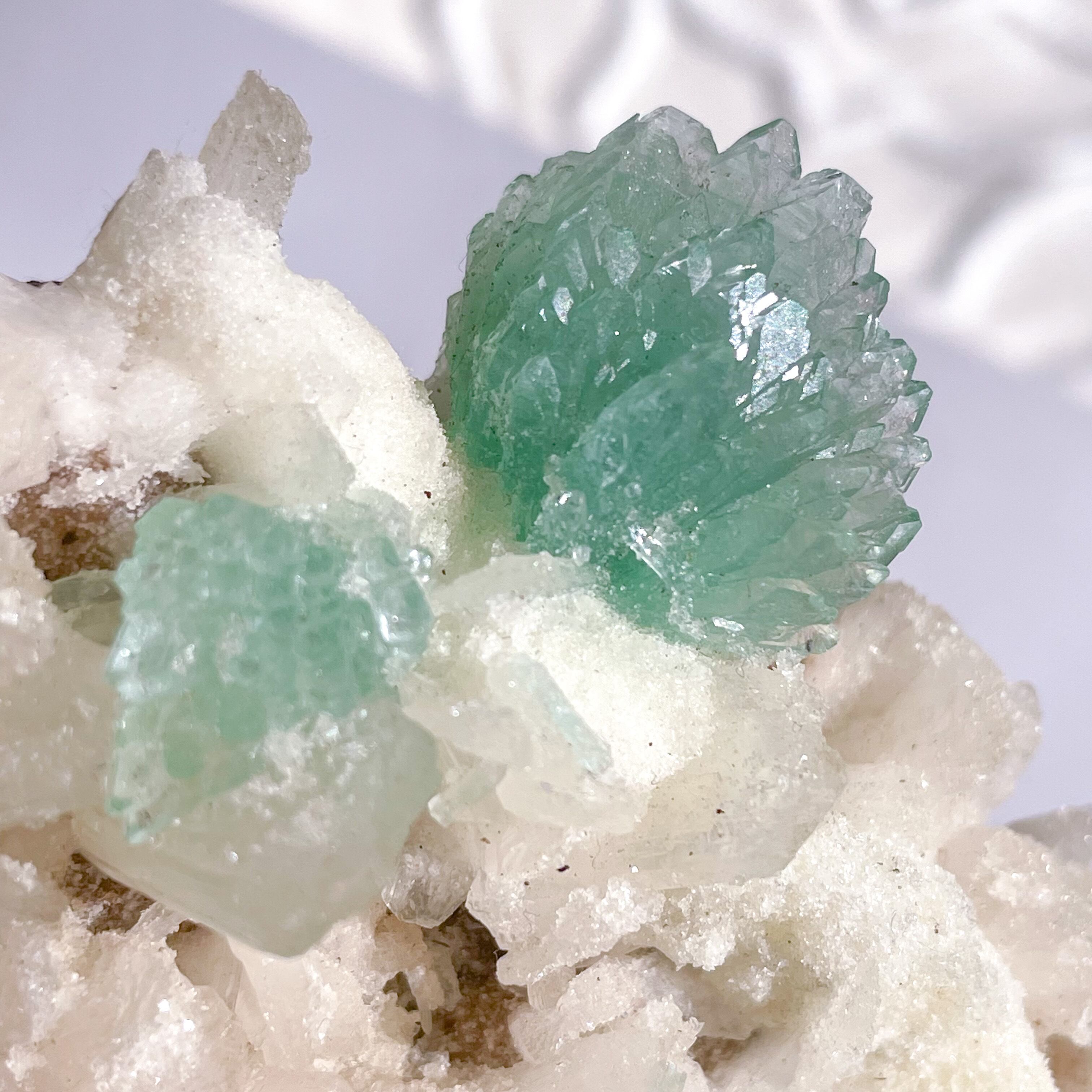 Flower Green Apophyllite 16 ✧ フラワーグリーンアポフィライト