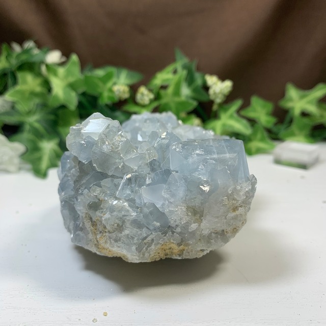 4.空色セレスタイトに住み着いているフローライトハリネズミさん