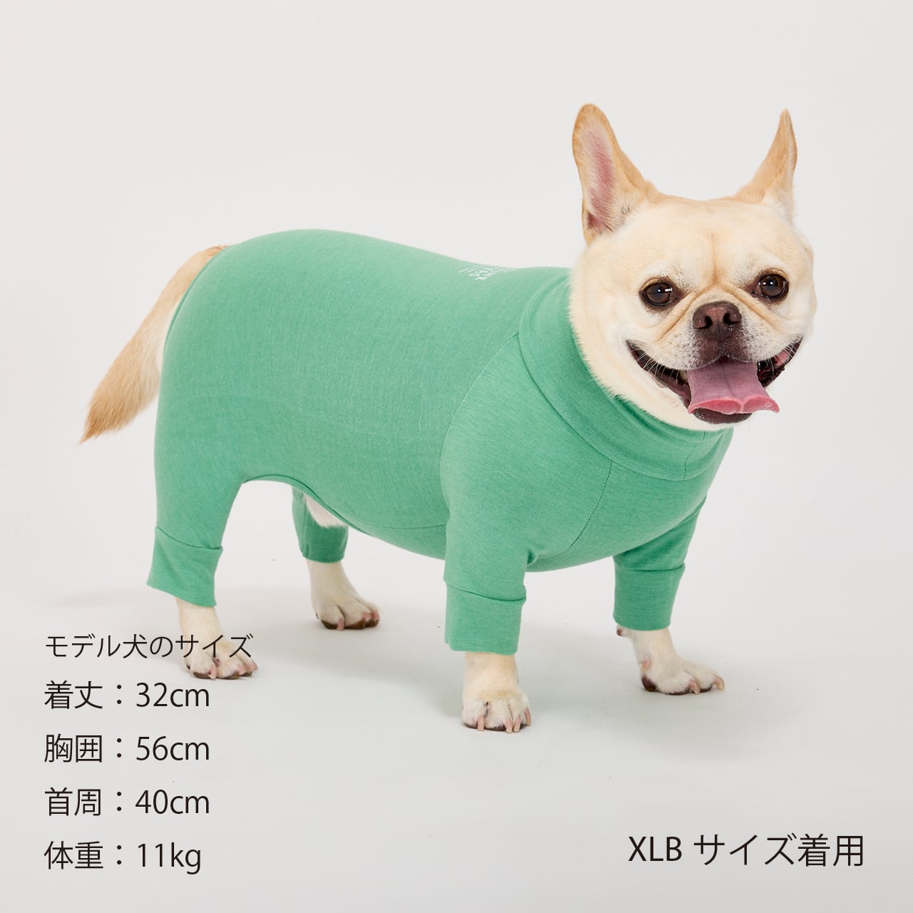 SKIN TIGHT SUIT（XL.XLB.XXL）スキンタイトスーツ | MANDARINE
