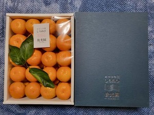 熊本県宇城市産 みかん贈答用　化粧箱入り 4kg