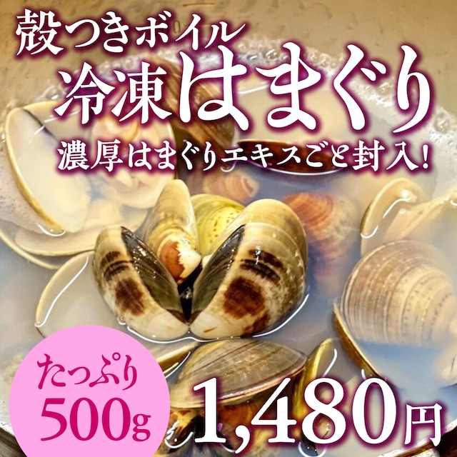 (0824)殻付きボイルはまぐり（冷凍・500g）