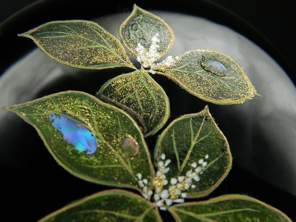 送料無料 茶道具 螺鈿 二人静蒔絵 中棗 木製本漆 亮斎 共箱 新品