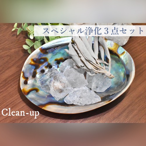 スペシャル浄化３点セット【Clean-up】アバロンシェル ロッククリスタル 原石 セージ j-c