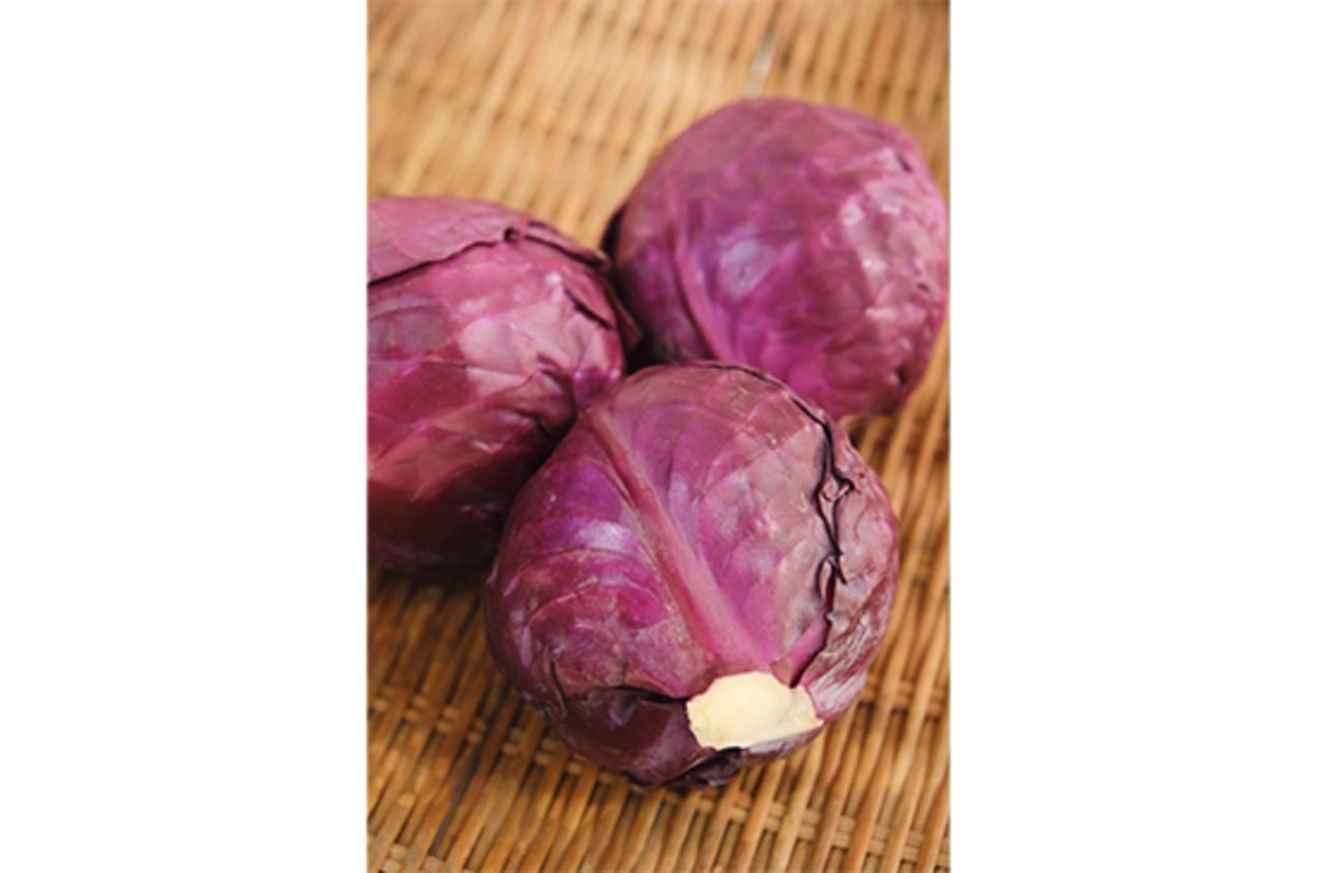 カリボスキャベツの種(紫とんがりキャベツ) ポリフェノールを含む赤紫とんがりキャベツ 種 30粒 F1 新品種