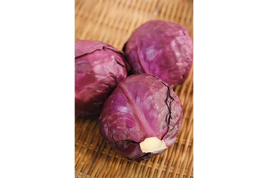 紫キャベツ(北海道産)・1個