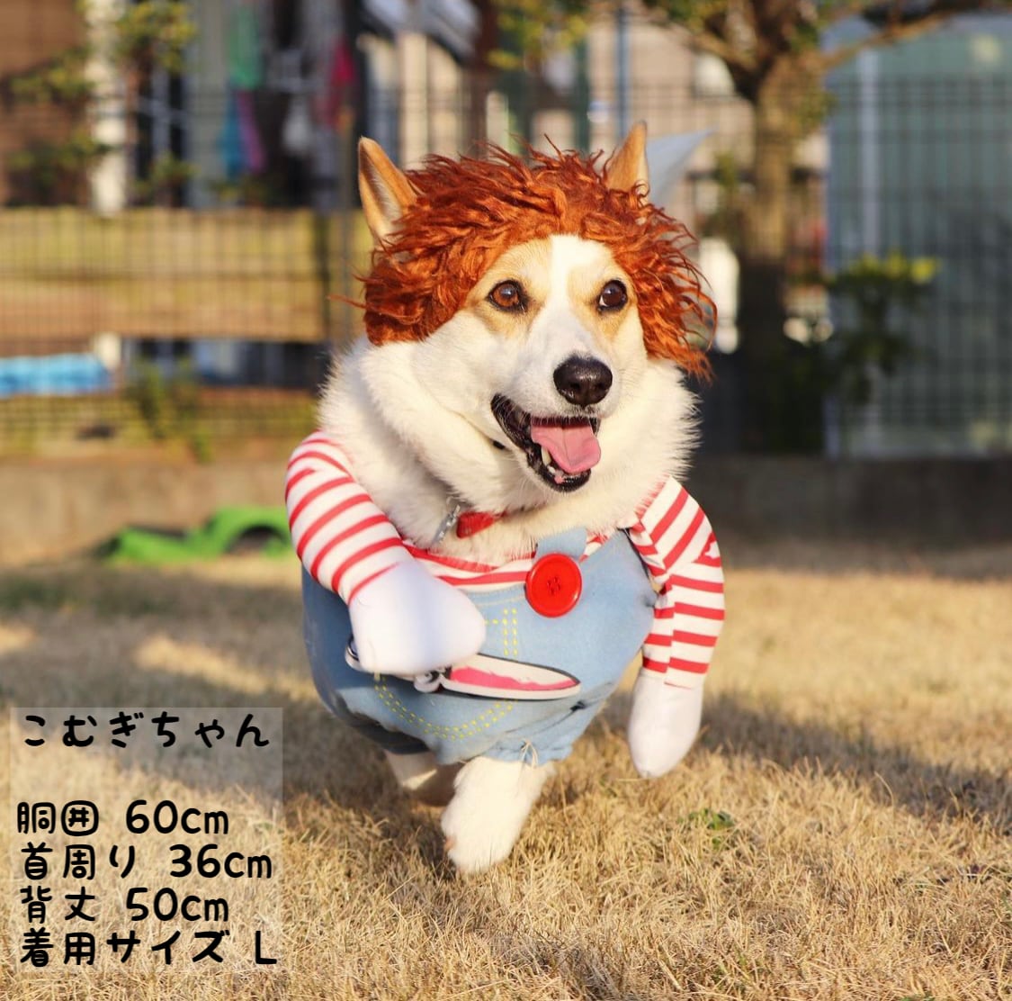 犬服 チャッキーコスプレ Mサイズ ハロウィン パーティー わんちゃん 仮装