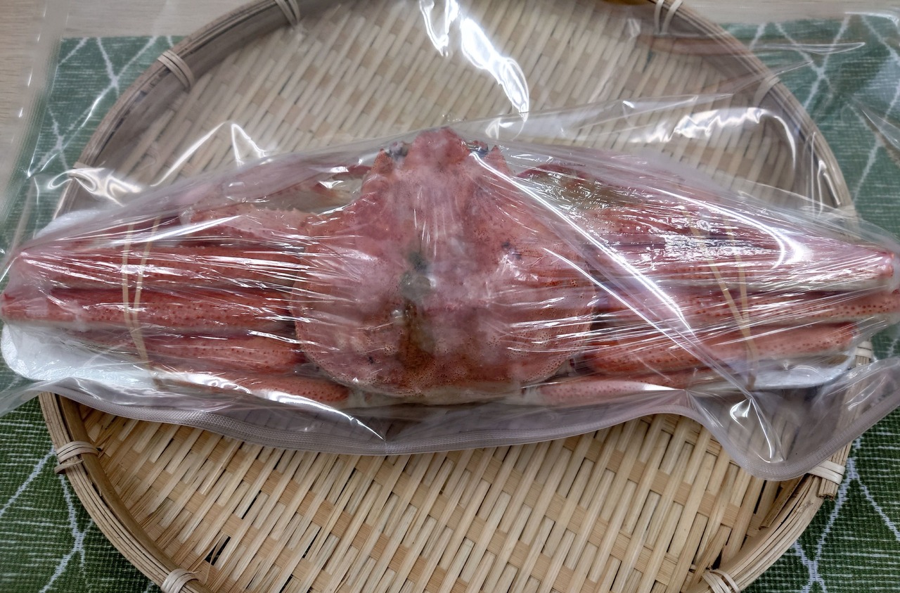 オオズワイガニ  1杯