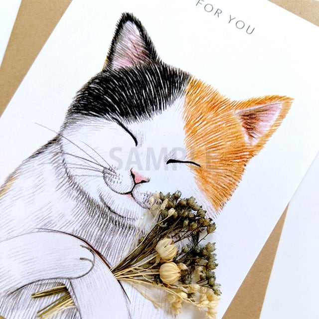 台湾 猫＆ドライフラワー カード 「三毛猫」 | 猫式×台灣 台湾雑貨 猫