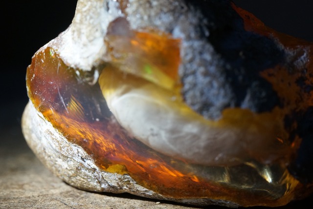 エッグ・イン・オパール Opal Egg 2