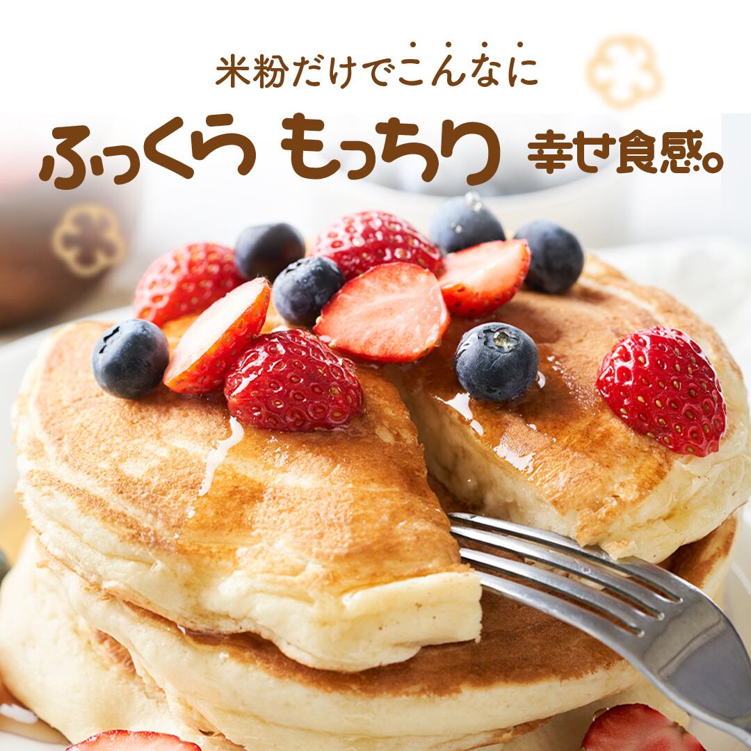 D'sTs 米粉 ホットケーキミックス パンケーキミックス 100g 10袋セット