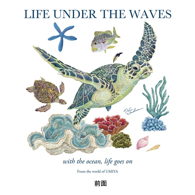 海の生きもの半袖Tシャツ（ウミガメ）｜LIFE UNDER THE WAVES Model-07