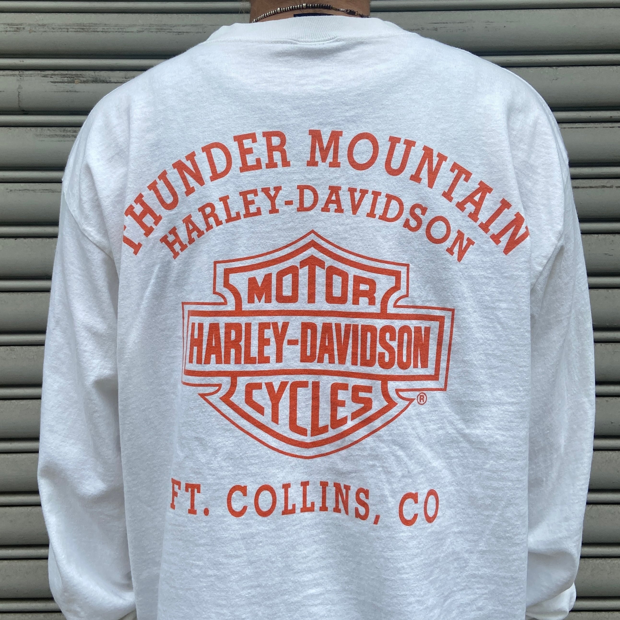 00s ハーレーダビッドソン プリントロンT フレイムパターン 白 XL相当