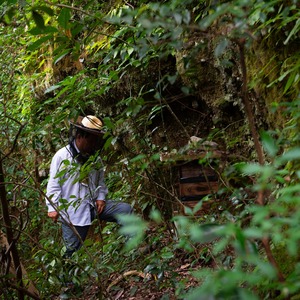 熟成生はちみつ「延寿」【数量1,000個限定】