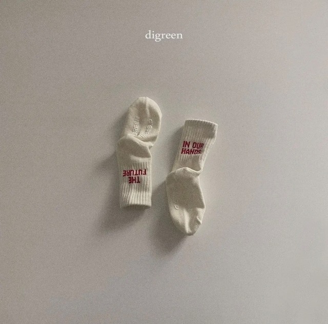 digreen / future socks (3P set)