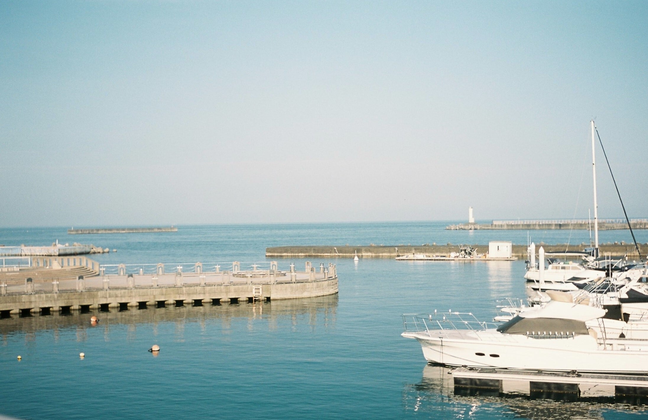 作例あり】OLYMPUS TRIP35 / D.Zuiko 40mm F2.8 整備済 ネガフィルム付