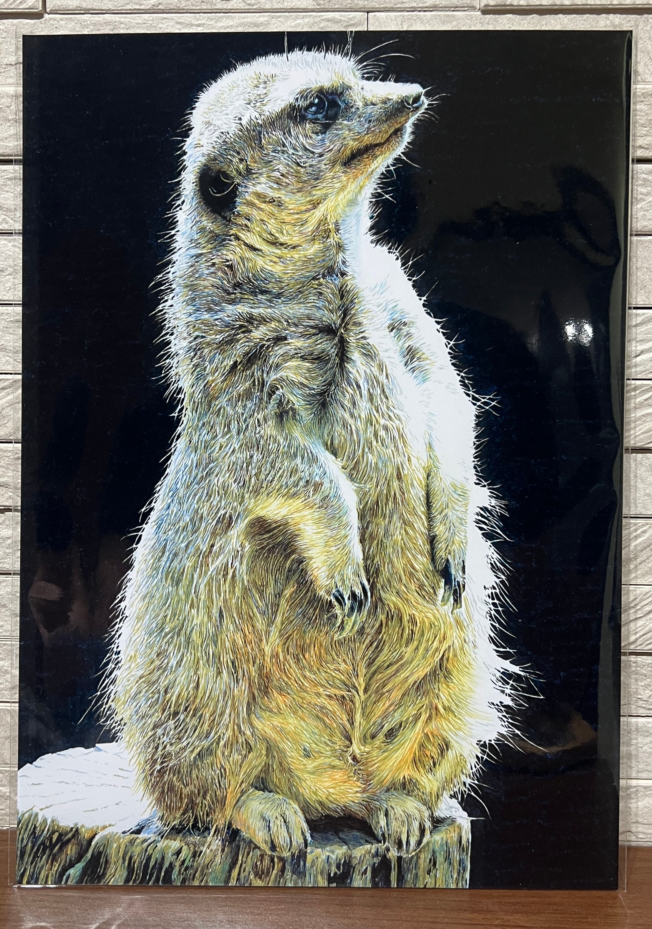 磯野キャビア ZOO