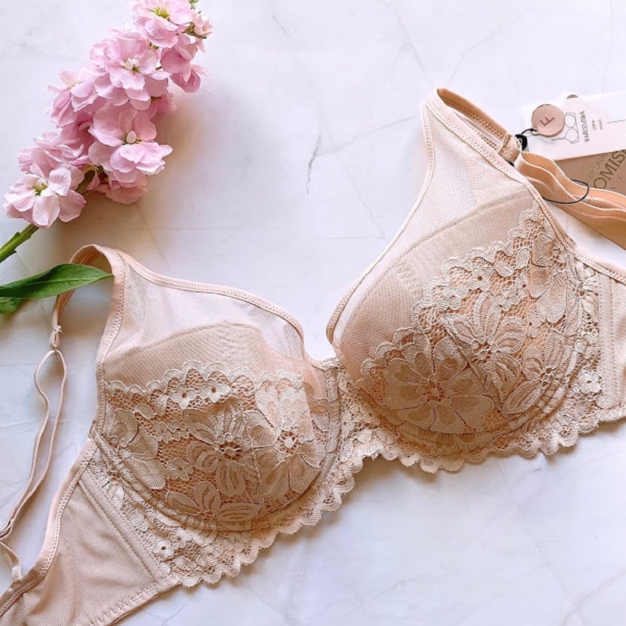 グラマーさん（大きなサイズ）PROMISEパテッドブラ85F.90F（日本サイズG70.G75）PM-L6401