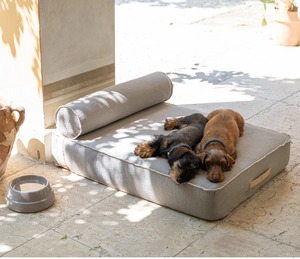 【2.8】Giampaolo - Day Bed for Dogs in Cotton