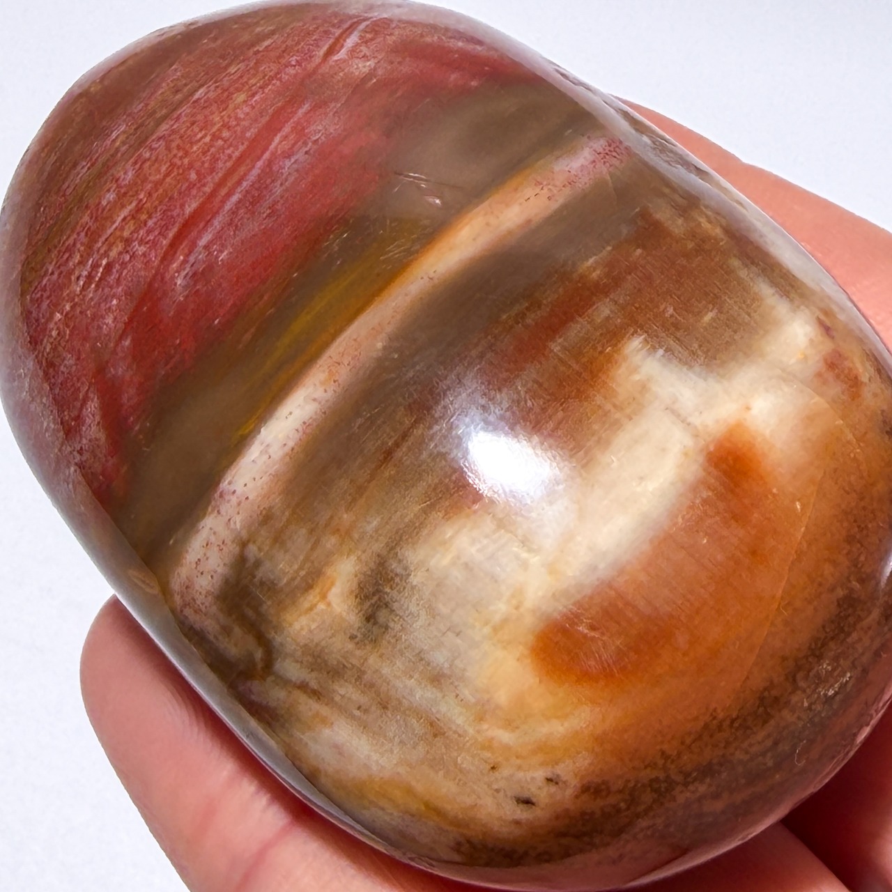 ペトリファイドウッド01 パーム ＊ Petrified Wood ＊ 天然石