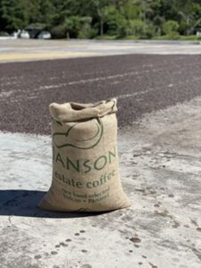 Janson Los Alpes Geisha Washed（中浅煎り）[コーヒー豆:50g]