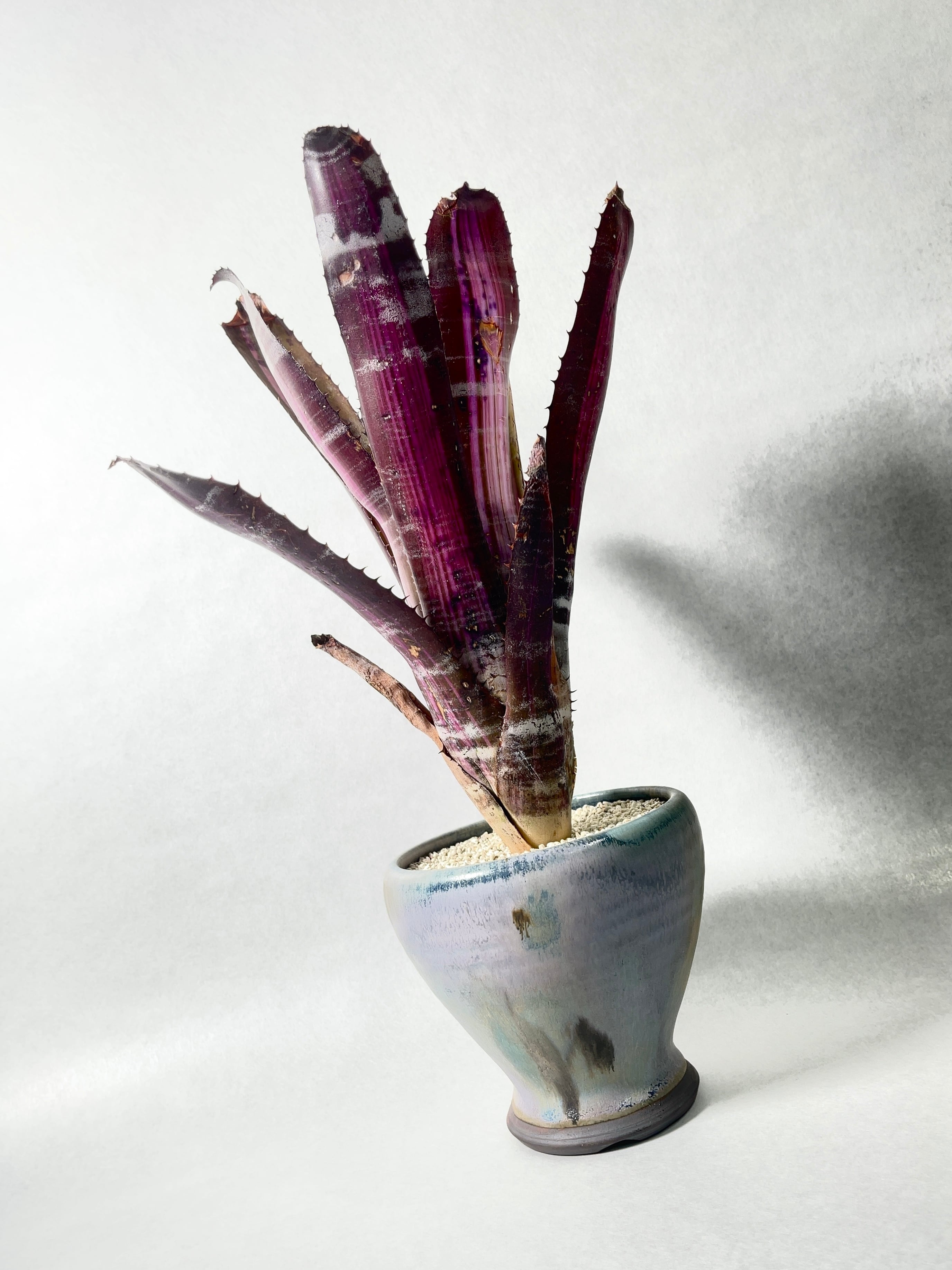 エクメア・ロベルトメネスカル | trigger