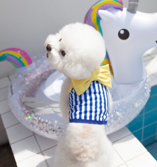 【cocochien】Summer ribbon swimwear