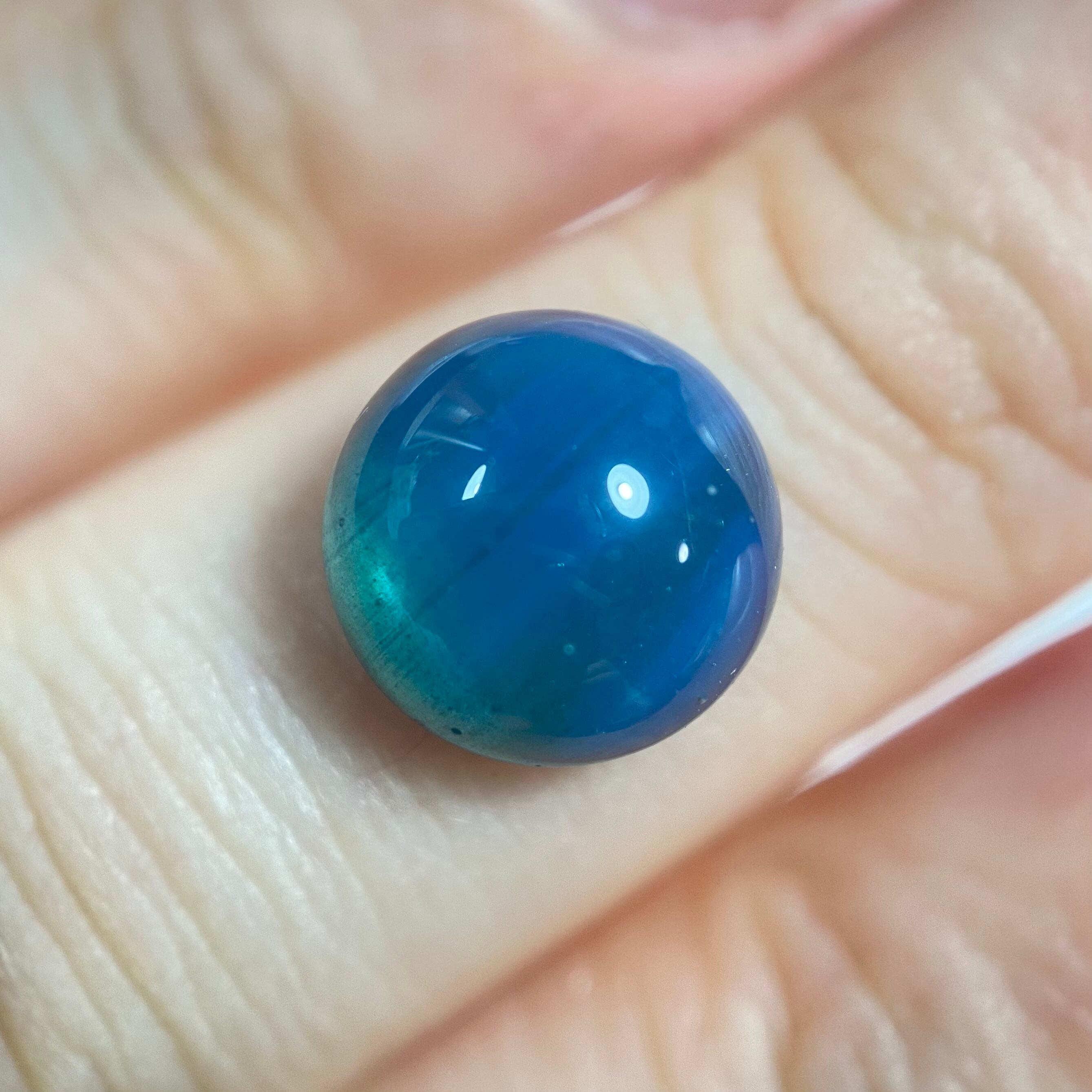 人と地球のコラボアート スウェディッシュブルー 1