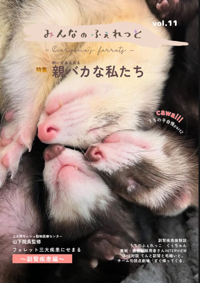 新春初売り　ハンモックセット