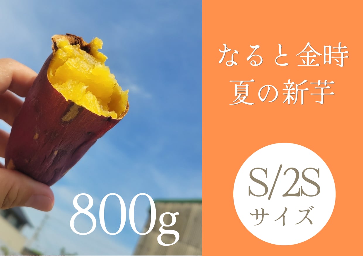 お試し購入】新芋なると金時_小さめ(S/SS)_800g箱 | なると金時