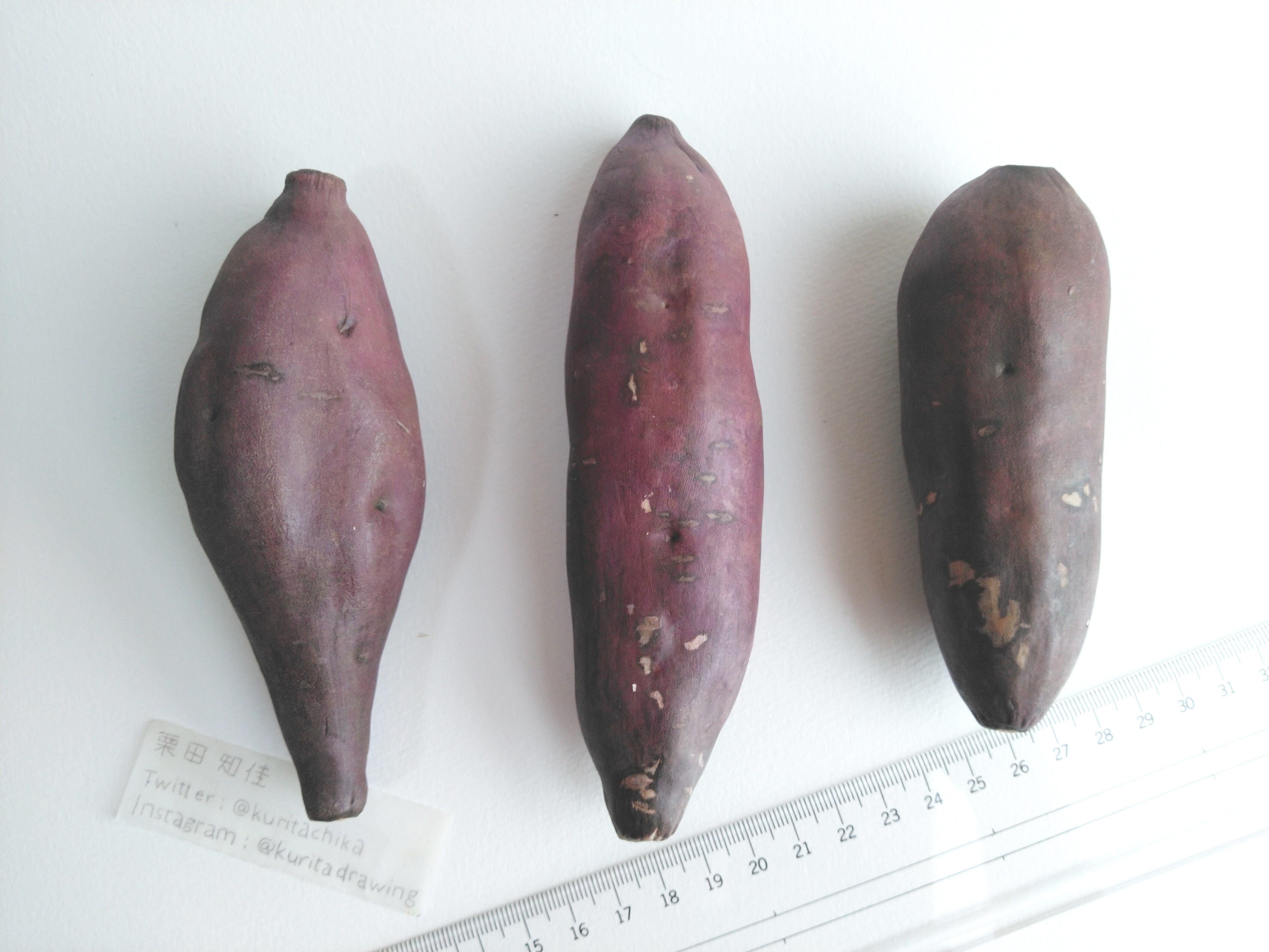 立体絵画》さつまいも | くりのき画廊