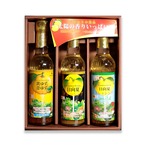 ★【A211】宮崎産柑橘ドレッシング290ml　3種ｾｯﾄ
