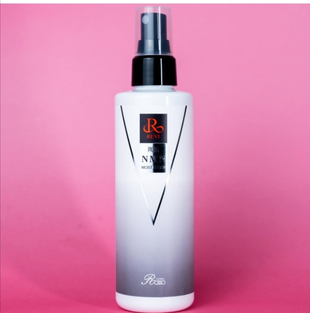 ハンディースプレーガン✨噴射美顔器 | ivory beauty shop (REVI正規