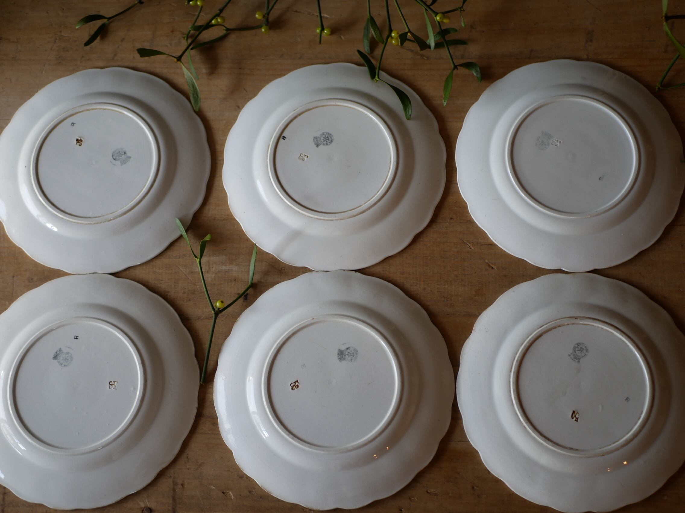 宿り木 ヤドリギ アンティークプレート デザートプレート ブロカントの