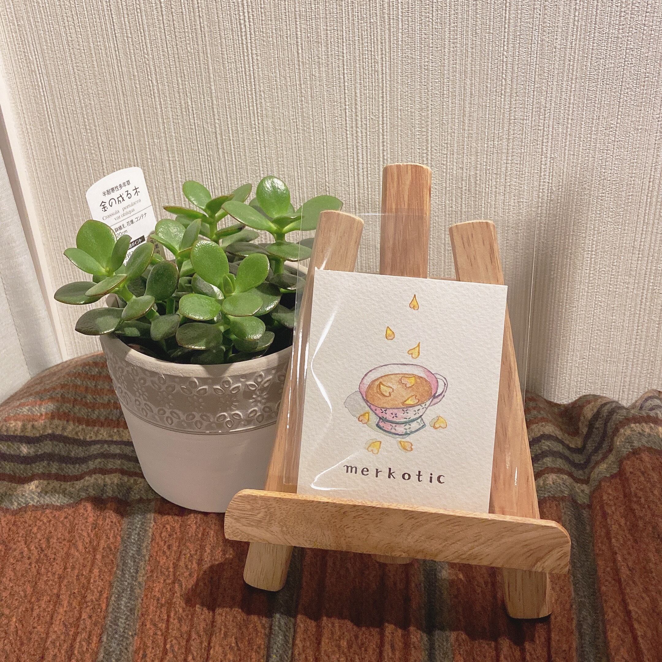 merkotic【2021 Autumn】